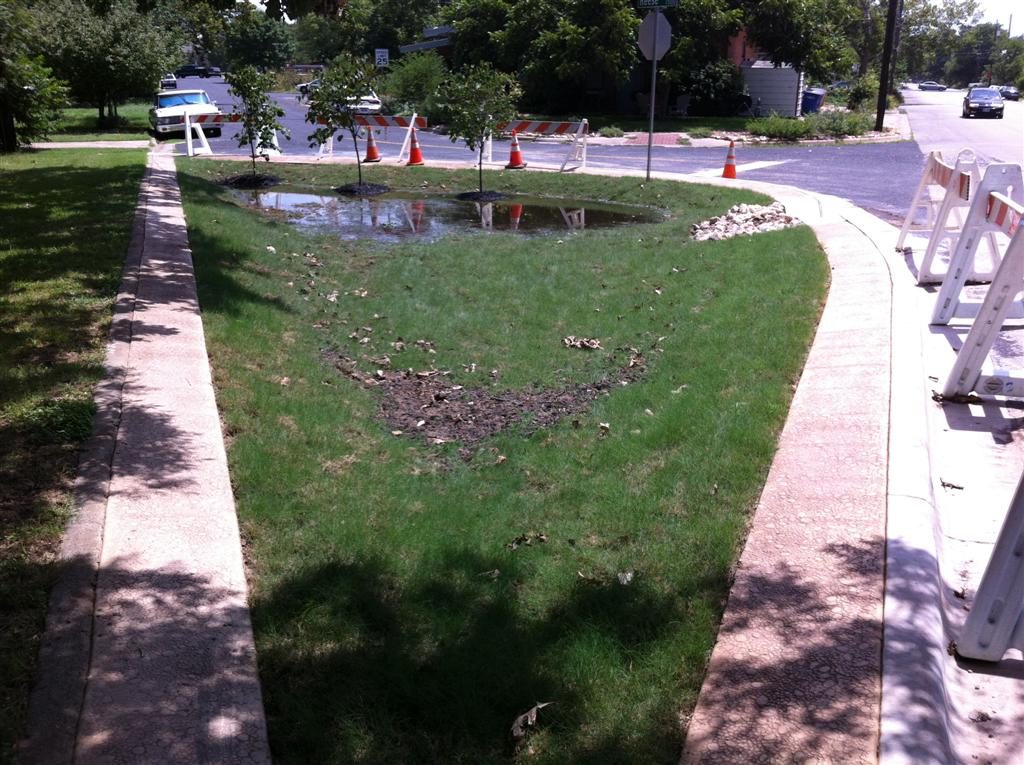 Austin municipal rain garden