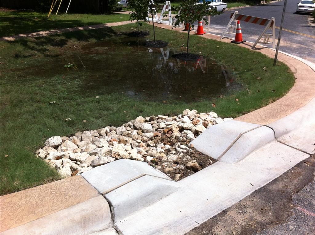 Austin municipal rain garden