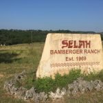 J. David Bamberger: June 11, 1928 – January 17, 2026