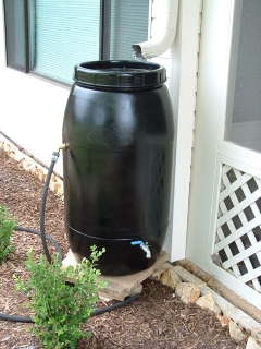 rain barrel