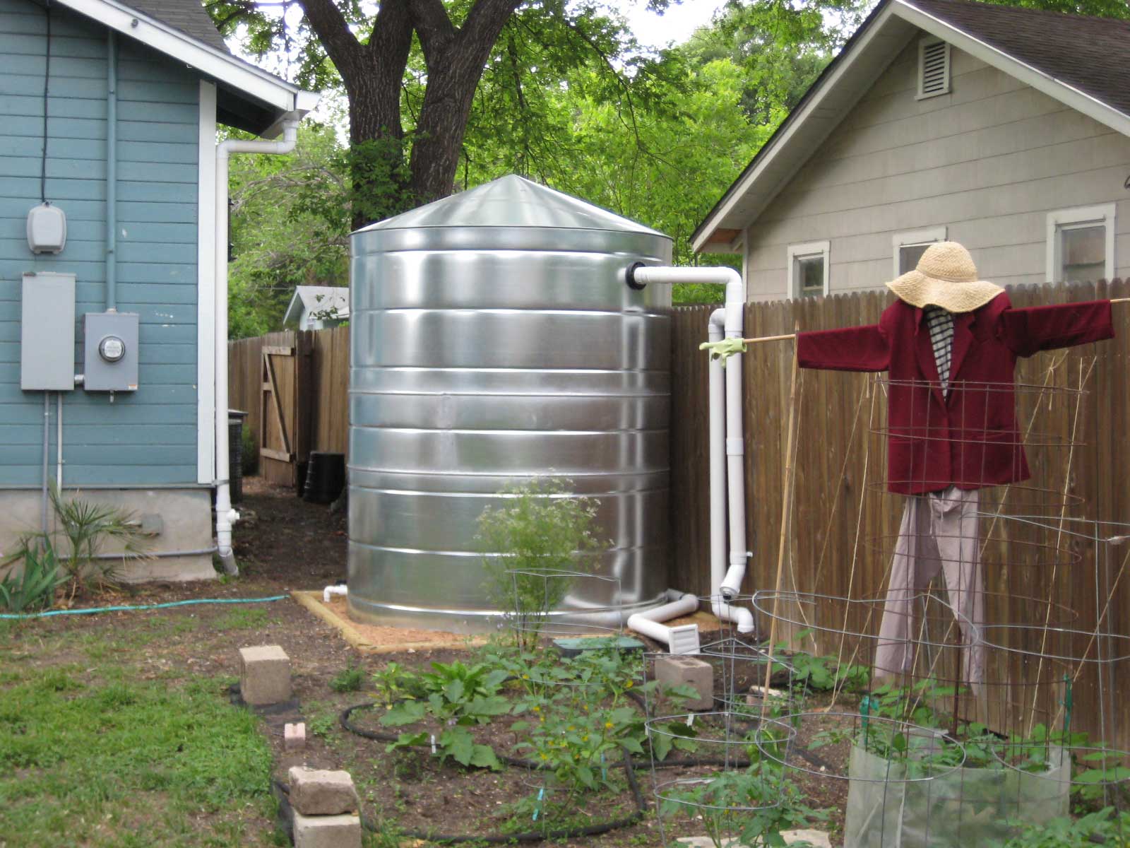 rainwater collection for urban gardening