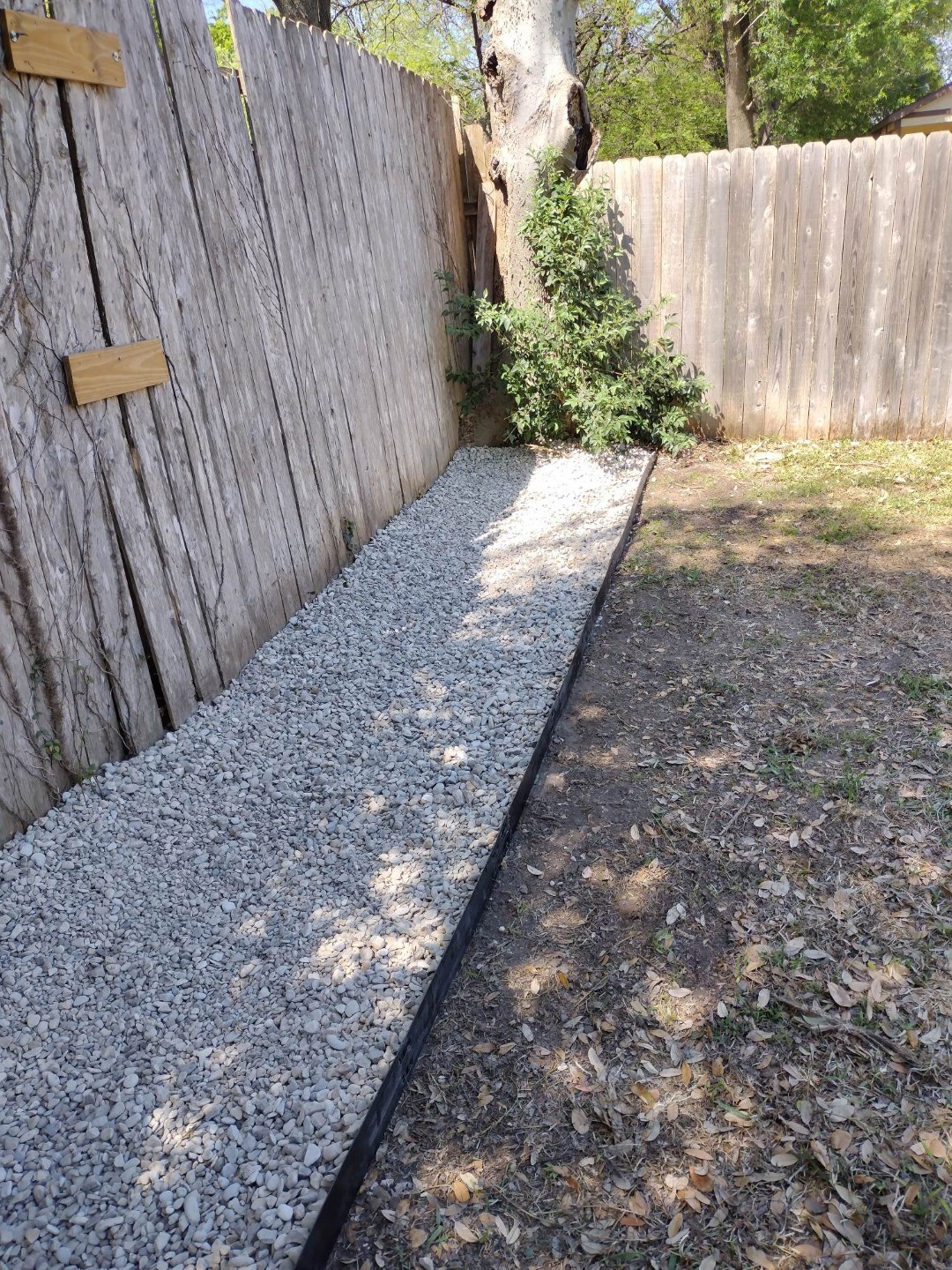 photo-mar-23-2026-3-25-58-pm-5