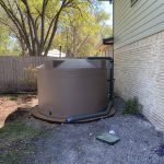 Newsletter: January 2025